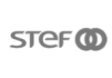 logo stef